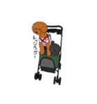 ぺいぺい兄弟（個別スタンプ：16）