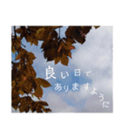 夕暮れ空と虹。いたわりの言葉。日本語版（個別スタンプ：8）