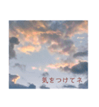 夕暮れ空と虹。いたわりの言葉。日本語版（個別スタンプ：31）