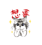 猫のうみちゃん（個別スタンプ：13）