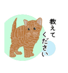 ひねもす茶とらねこ 2（個別スタンプ：18）