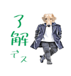 柑本犬（個別スタンプ：1）