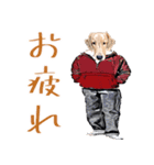 柑本犬（個別スタンプ：2）