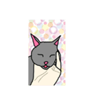 キラにゃんルナわんのスタンプ（個別スタンプ：8）