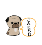 わん・にゃんスタンプ（個別スタンプ：1）