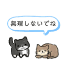 わん・にゃんスタンプ（個別スタンプ：28）