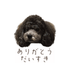 Thanks mahalo（個別スタンプ：5）