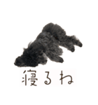 Thanks mahalo（個別スタンプ：6）