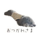 Thanks mahalo（個別スタンプ：13）