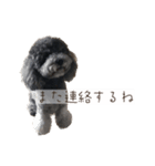 Thanks mahalo（個別スタンプ：15）