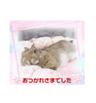 うさぎのリリ☆日常会話スタンプ（個別スタンプ：6）