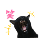 かしゅもちファミリー その1（個別スタンプ：2）