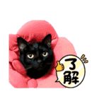 かしゅもちファミリー その1（個別スタンプ：4）