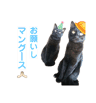 かしゅもちファミリー その1（個別スタンプ：7）