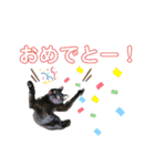 かしゅもちファミリー その1（個別スタンプ：8）