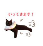 かしゅもちファミリー その1（個別スタンプ：17）