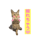 かしゅもちファミリー その1（個別スタンプ：20）
