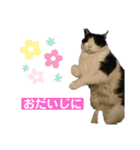 かしゅもちファミリー その1（個別スタンプ：23）