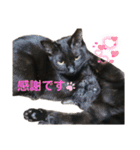 かしゅもちファミリー その1（個別スタンプ：25）