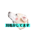 めるものスタンプ3（個別スタンプ：2）