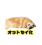 めるものスタンプ3（個別スタンプ：5）