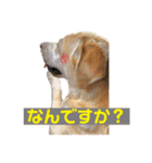 めるものスタンプ3（個別スタンプ：6）