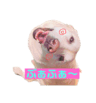 めるものスタンプ3（個別スタンプ：7）
