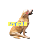 めるものスタンプ3（個別スタンプ：10）
