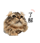 はちろうと愉快な仲間たち（個別スタンプ：18）