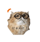 はちろうと愉快な仲間たち（個別スタンプ：23）