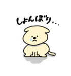 わんぱくわんちゃんスタンプ（個別スタンプ：19）