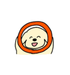 わんぱくわんちゃんスタンプ（個別スタンプ：21）