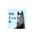 uma's 牧場の馬 うま 競走馬 サラブレッド（個別スタンプ：9）