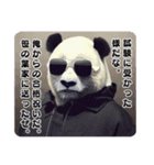 THE PANDA MAN’S（個別スタンプ：4）