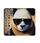 THE PANDA MAN’S（個別スタンプ：12）