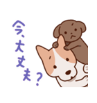 ゆるいぬ(つのびん)（個別スタンプ：30）