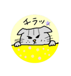 しゃくれねこ（個別スタンプ：22）