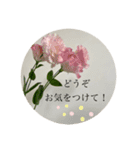 bless of elegant flowers（個別スタンプ：16）