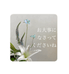 bless of elegant flowers（個別スタンプ：18）