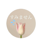 bless of elegant flowers（個別スタンプ：22）