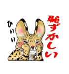 11 サーバルキャット（個別スタンプ：29）