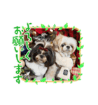 ぢげん＆ひな＋special（個別スタンプ：2）