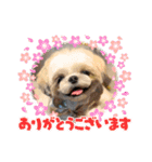 ぢげん＆ひな＋special（個別スタンプ：4）