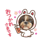 ぢげん＆ひな＋special（個別スタンプ：8）