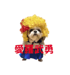 ぢげん＆ひな＋special（個別スタンプ：12）