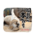 ぢげん＆ひな＋special（個別スタンプ：14）