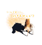 どんな時も犬と暮らす♪（個別スタンプ：8）