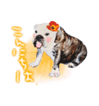 どんな時も犬と暮らす♪（個別スタンプ：10）