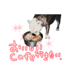 どんな時も犬と暮らす♪（個別スタンプ：11）