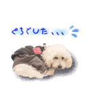 どんな時も犬と暮らす♪（個別スタンプ：12）